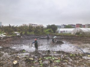 盐山河道鱼塘清淤